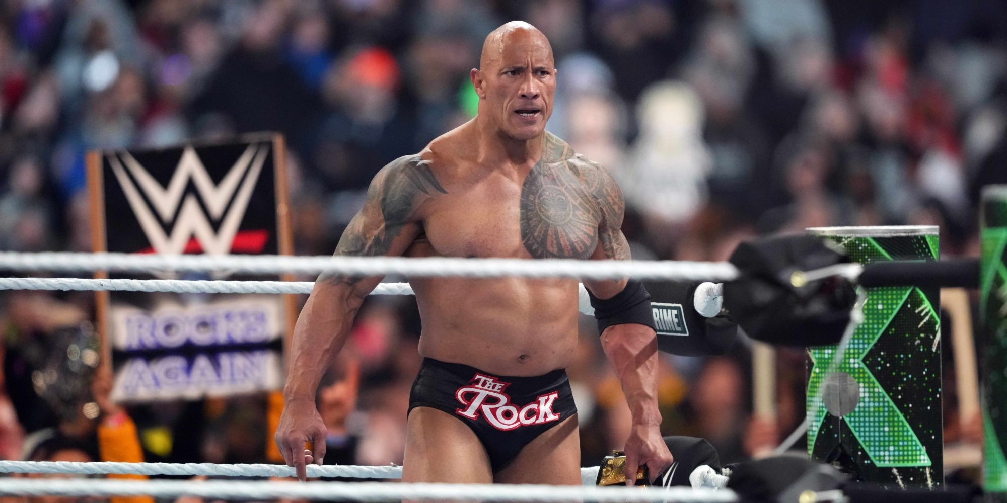 Rockwrestle Mania 40 Match WWE