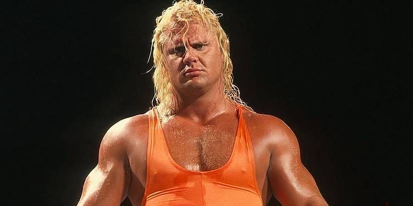 Mr Perfect WWE