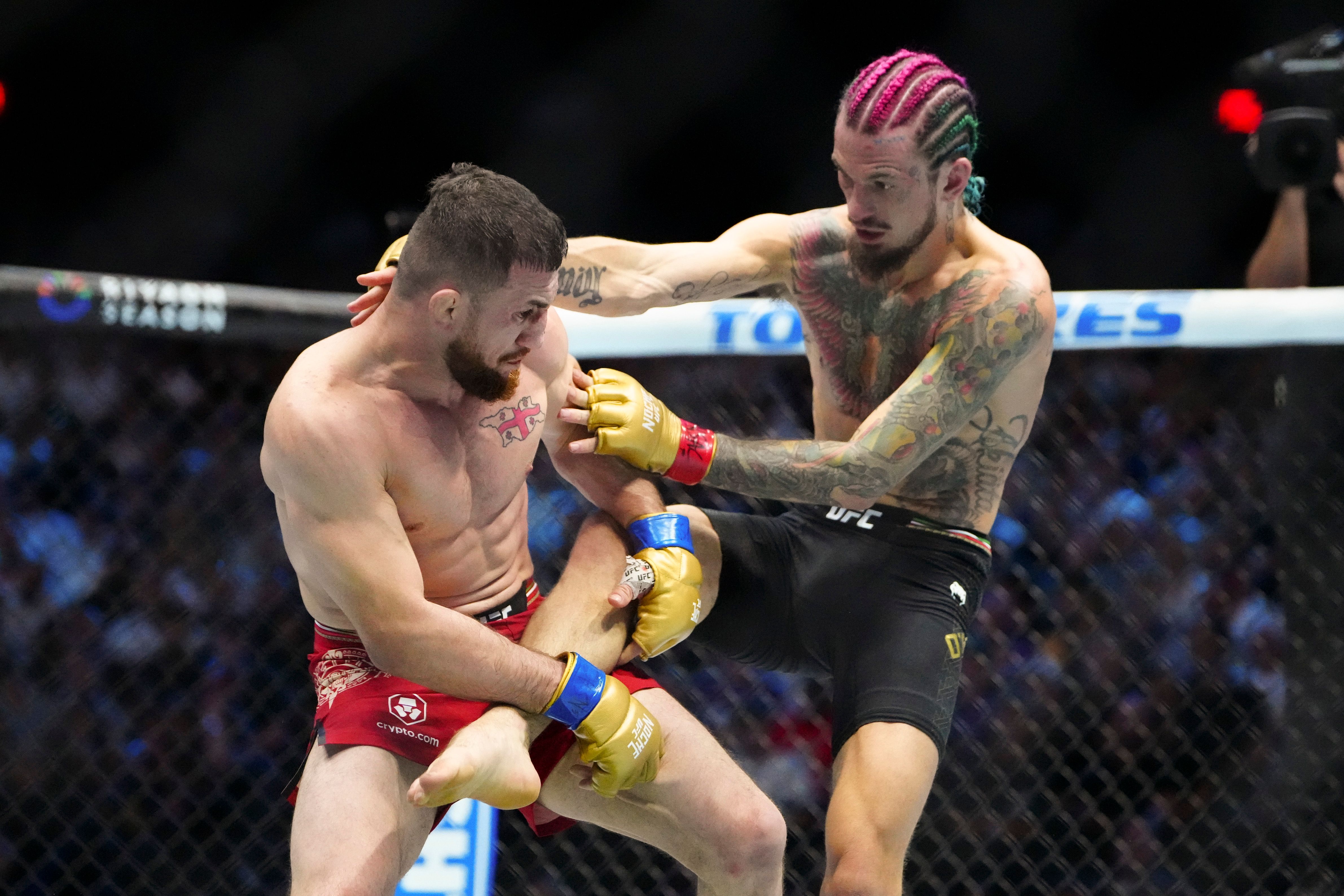 UFC 316 Main Card Betting Odds: How You Can Make Money Off This PPV