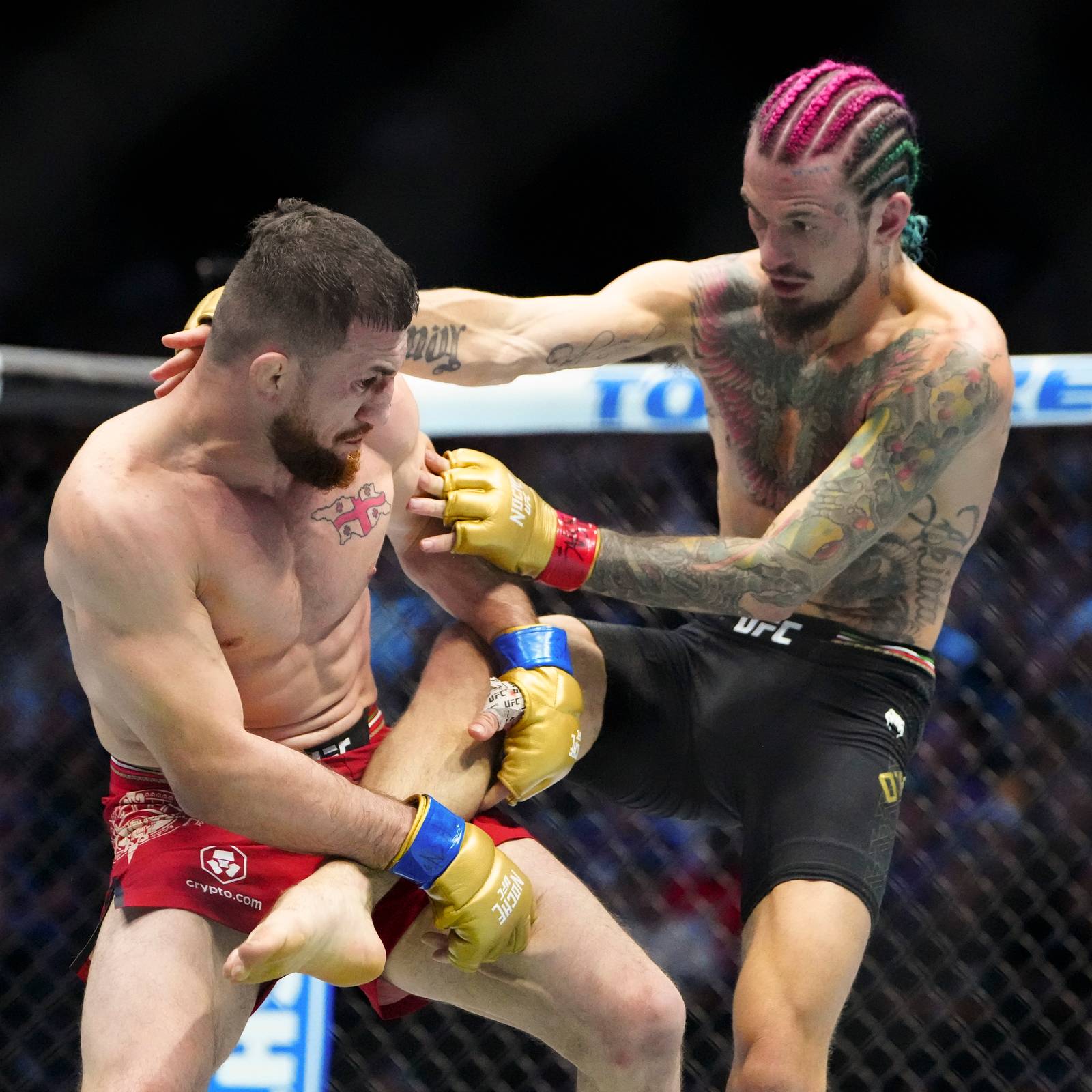 UFC 316 Main Card Betting Odds: How You Can Make Money Off This PPV