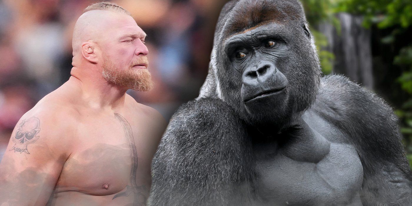 Brock Lesnar in WWE and a Silverback Gorilla