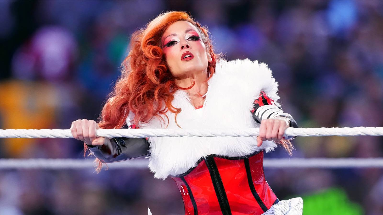 Alternative Careers For WWE Stars alternative-careers-for-wwe-stars