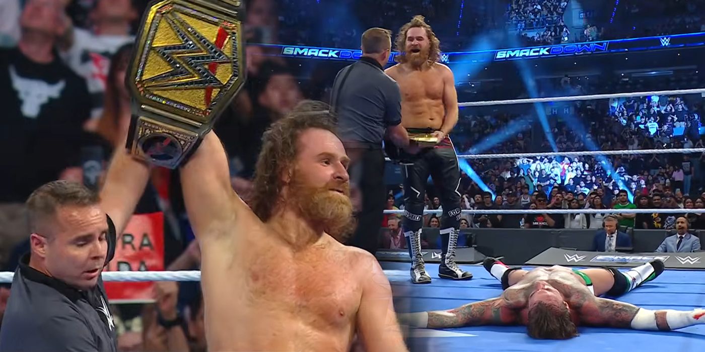 The Real Reason Sami Zayn Defeated CM Punk For The WWE Championship