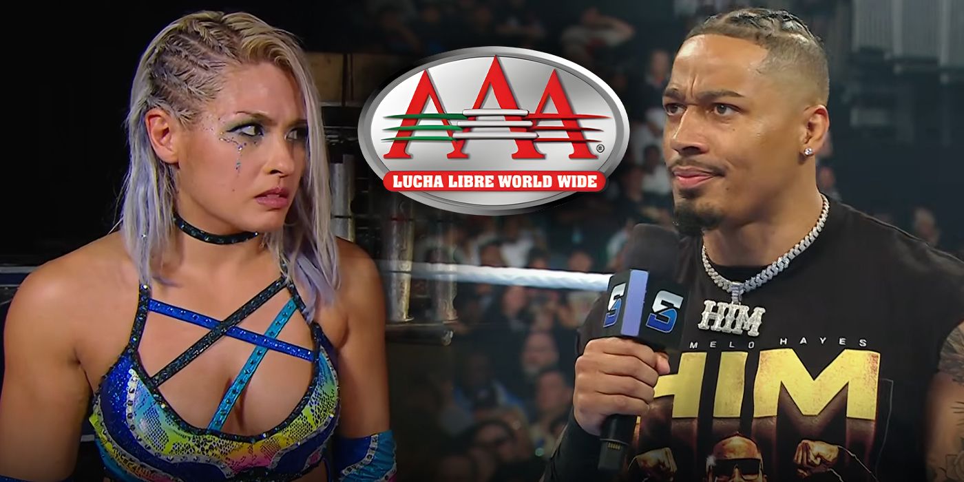 WWE Roster Members Who Should Go To AAA