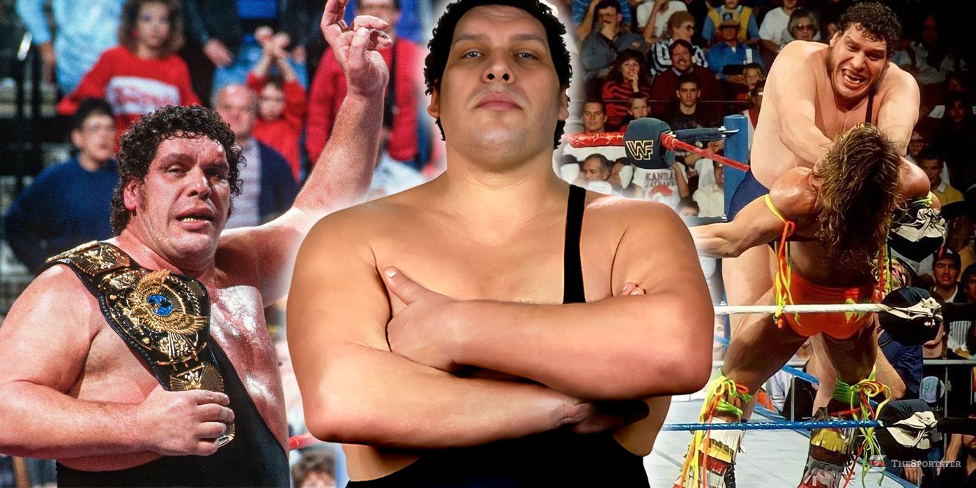 10 Harsh Realities Fans Of Andre The Giant Need To Realize