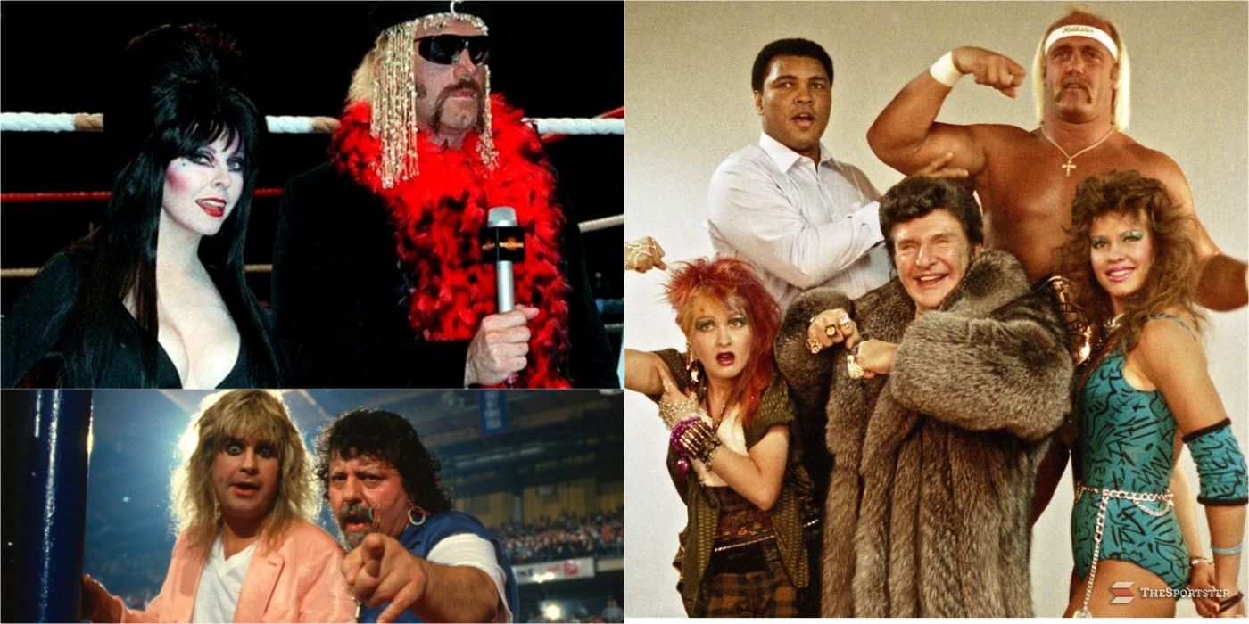 10 Most Random Celebrities WWE Used In Their Golden Era