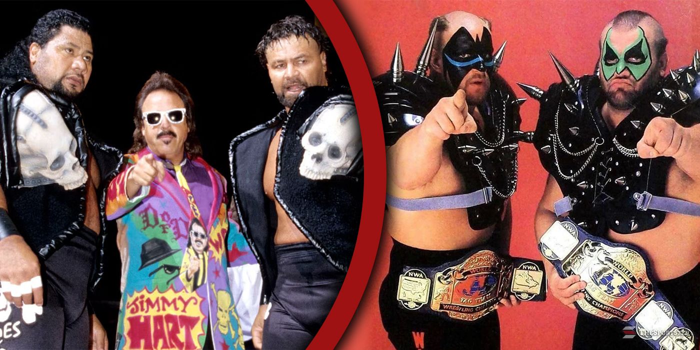 10 Best Tag Team Gimmicks In WCW History, Ranked