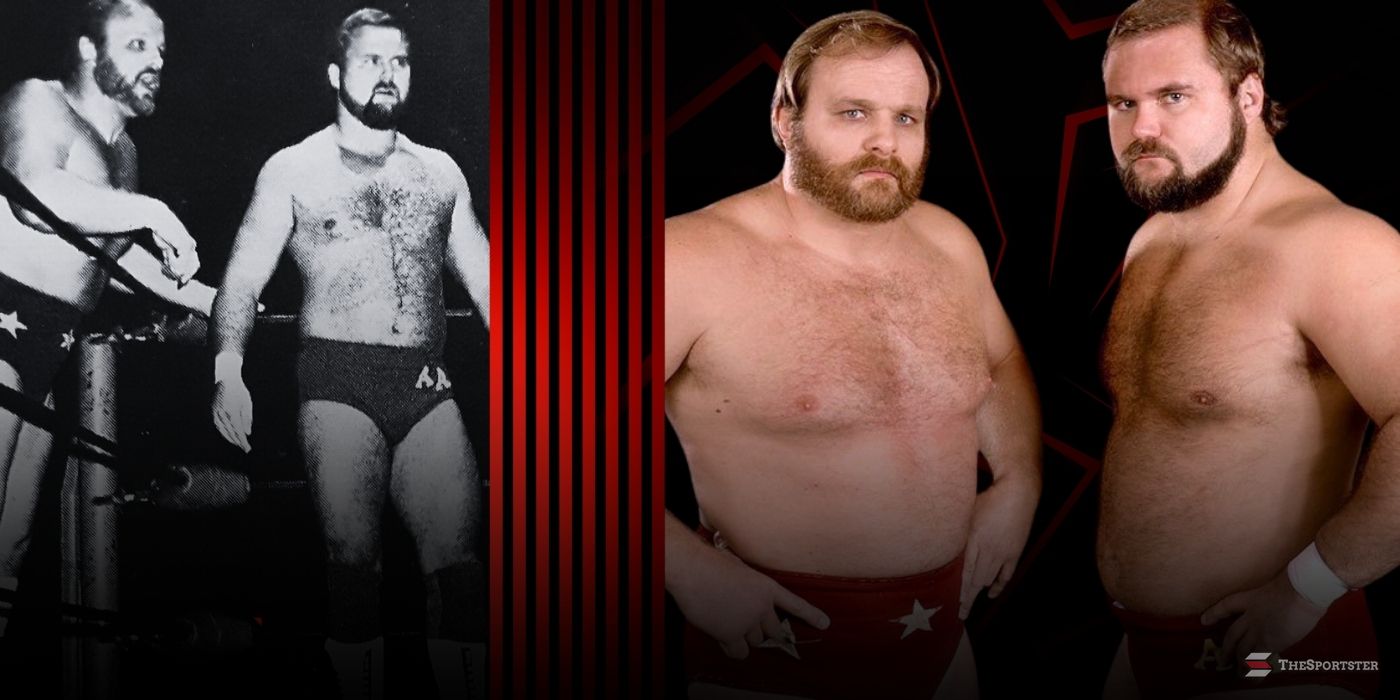 Arn Anderson & Ole Anderson's Real-Life Relationship, Explained