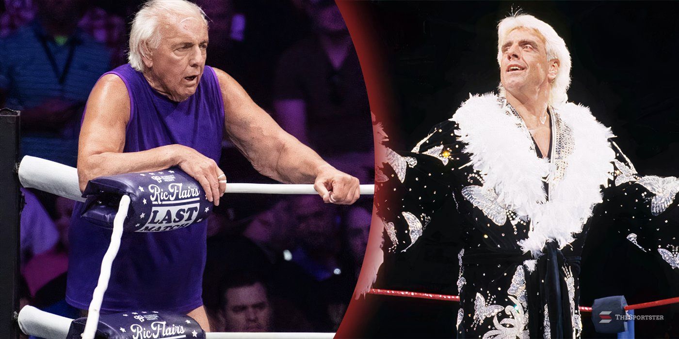 Ric Flair during his last match and wearing his robe