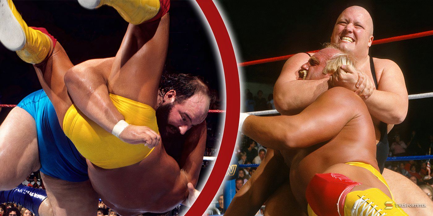 Wrestlers We Can't Believe Defeated Hulk Hogan