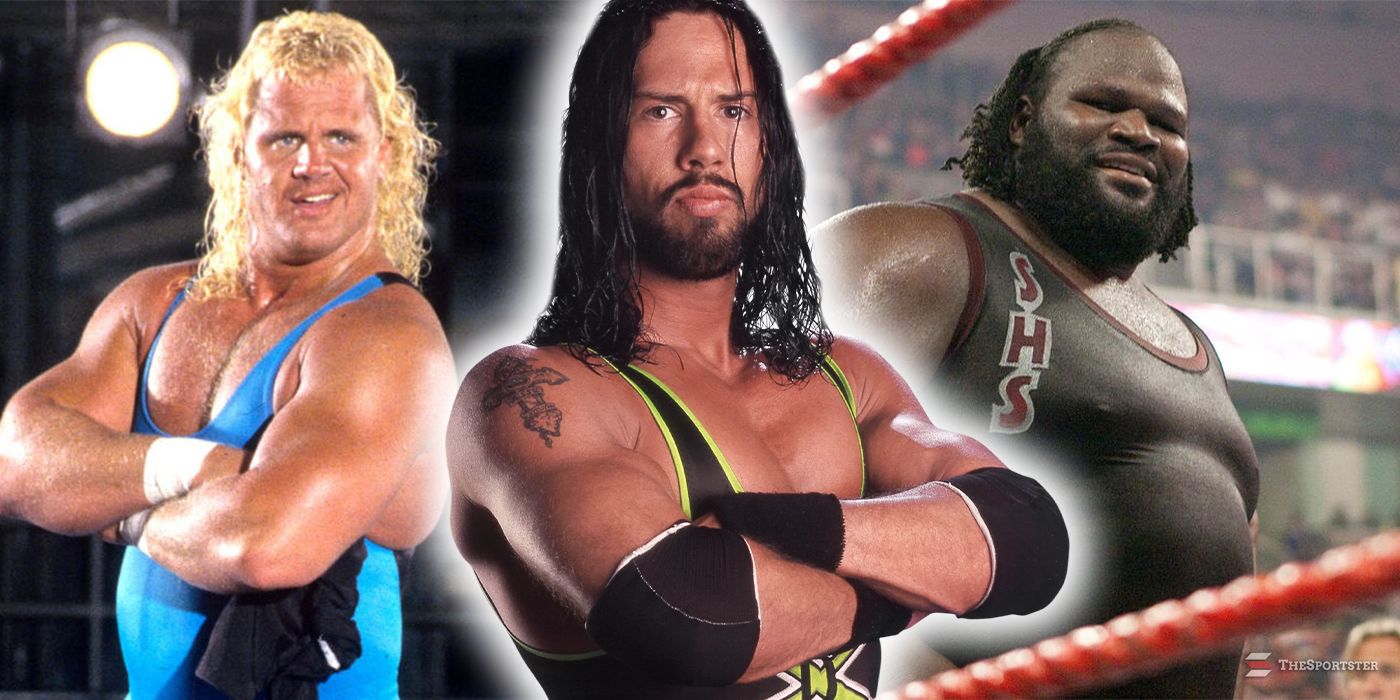 Wwe the sportster new arrivals