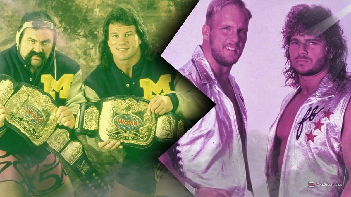Best Tag Teams In WCW History, Ranked By Versatility