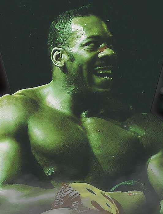 Rick Rude Injury Rick Rude Vs. Sting: How A WCW Backstage Fight Ended With A Gun Being ...
