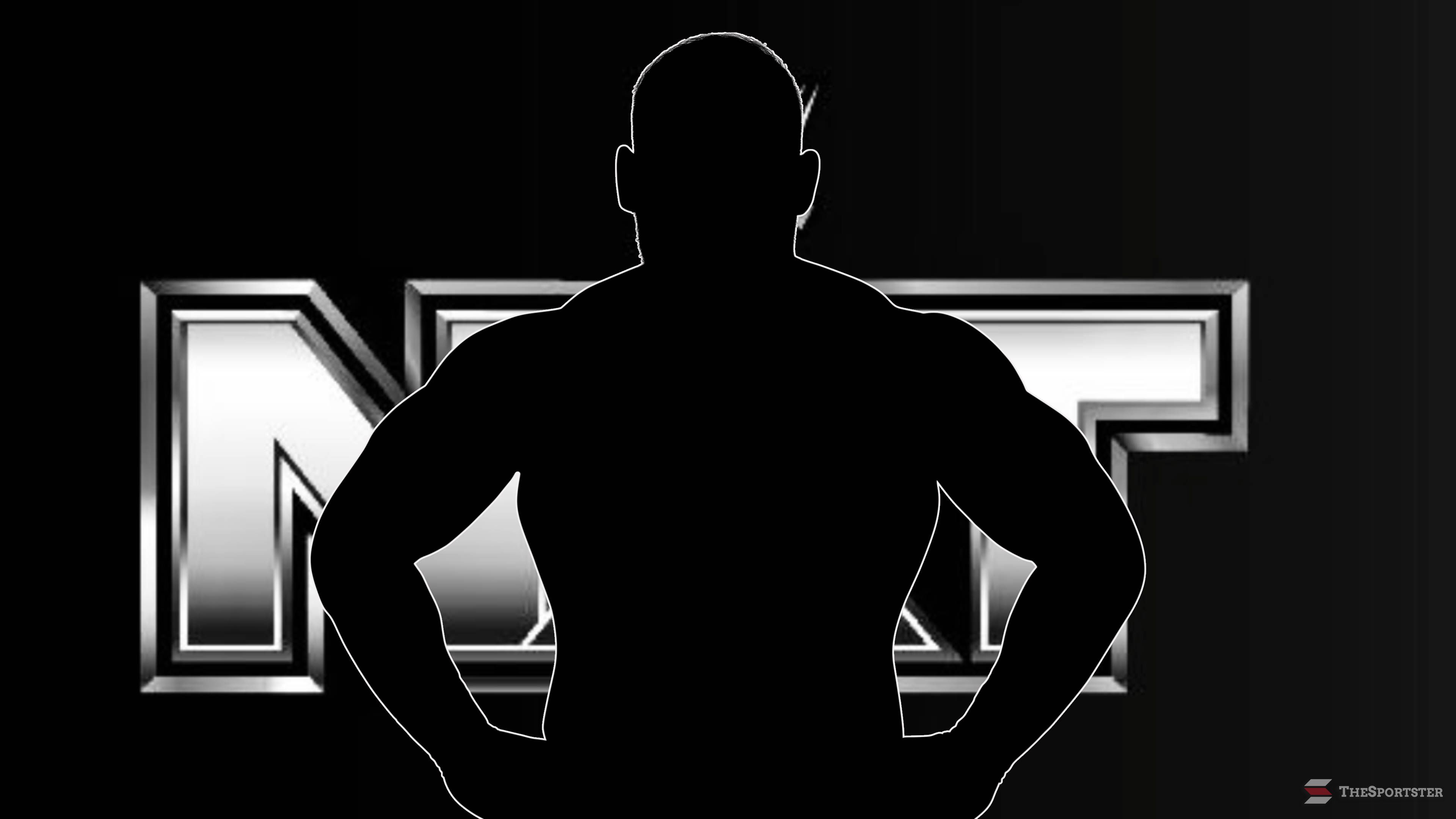 Former Tag Team Champion Reveals WWE Won't Be Renewing His Contract