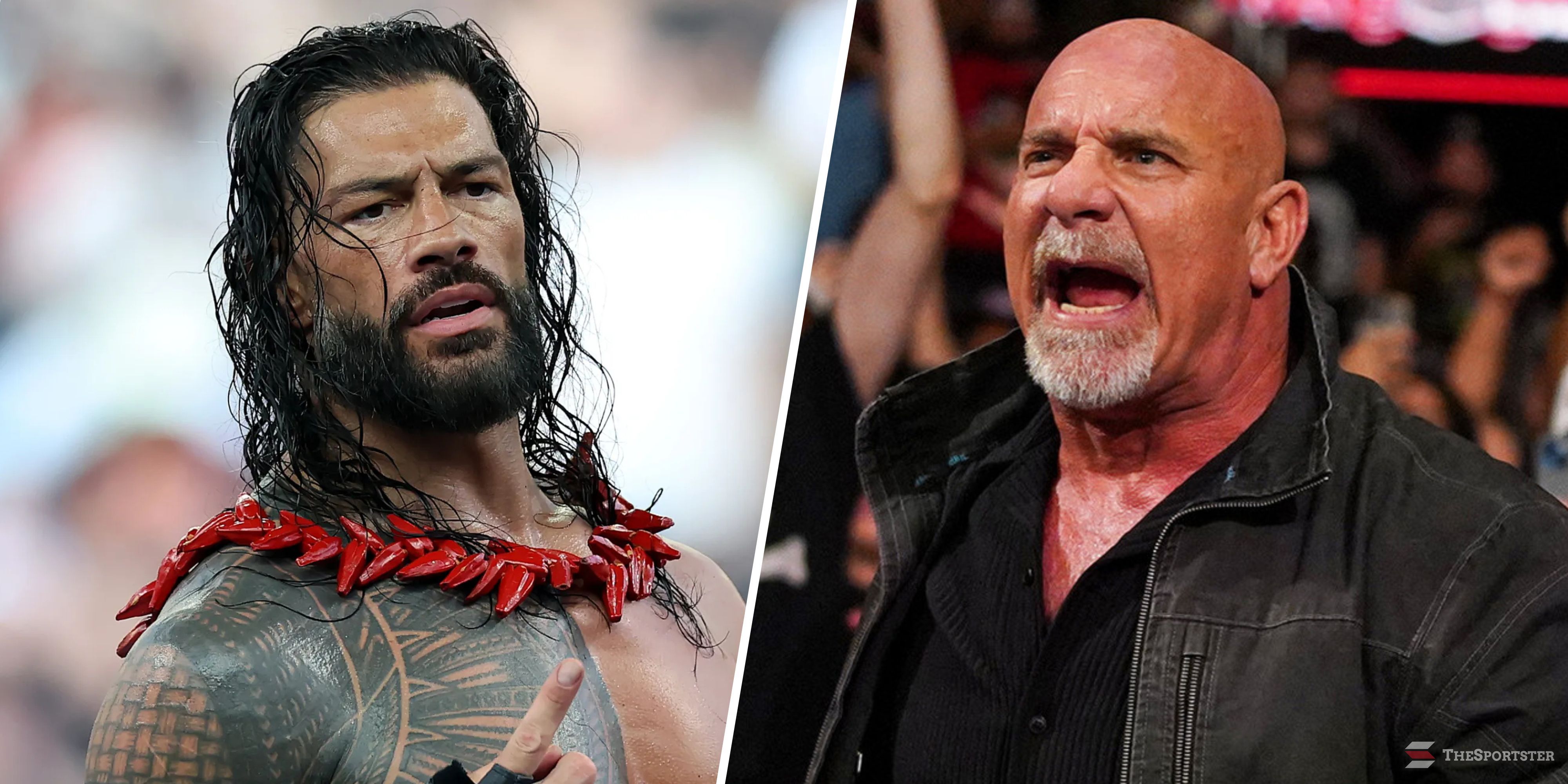 Roman Reigns And Goldberg Miss Out On WWE's Most Devastating Spear Award